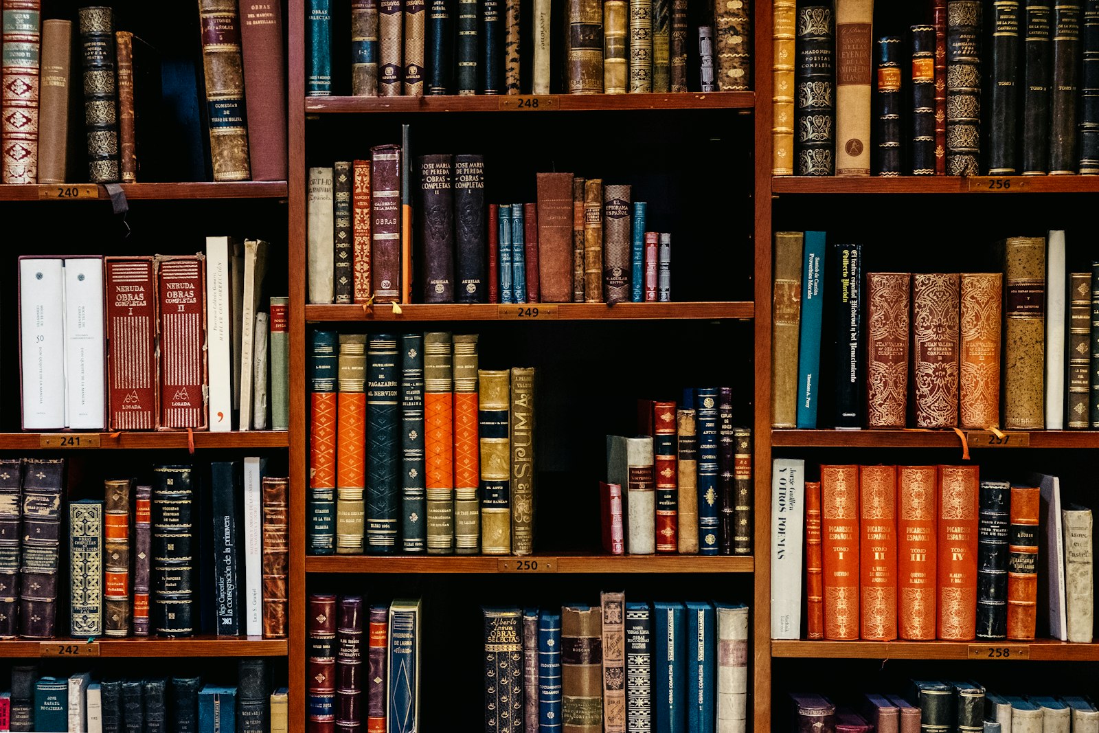 Juristische Bibliothek – Strafrecht und Pflichtverteidiger